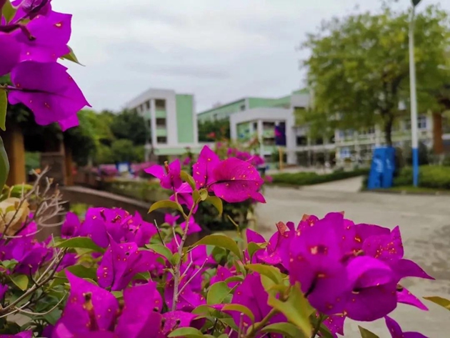 1617088481335847.jpg 18.jpg