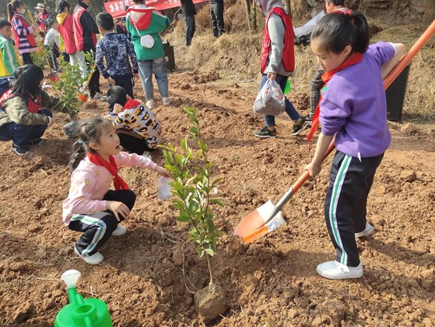 1617092639320133.jpg 41.jpg